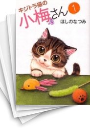 中古]キジトラ猫の小梅さん (1-23巻) | 漫画全巻ドットコム