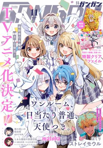 少年ガンガンセット 月刊誌-