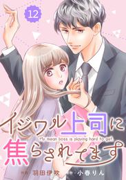 comic Berry’sイジワル上司に焦らされてます12巻