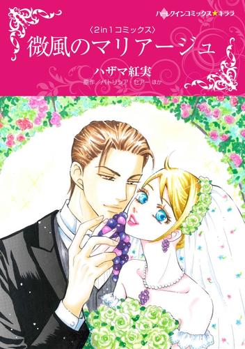 微風のマリアージュ / 魅惑のドクター【分冊】 12 冊セット 全巻