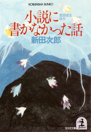 小説に書かなかった話～武田信玄ほか～