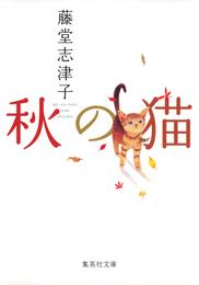 秋の猫