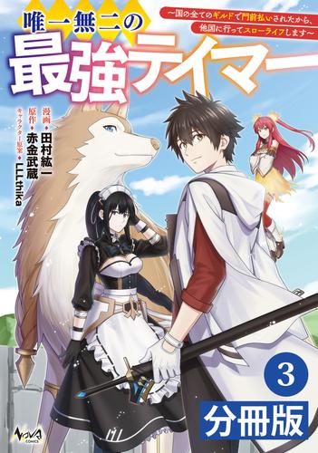 唯一無二の最強テイマー～国の全てのギルドで門前払いされたから、他国に行ってスローライフします～【分冊版】(ノヴァコミックス)3