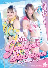 STARDOM OFFICIAL GUIDE BOOK Vol.149