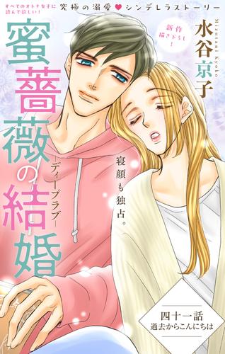 Love Silky 蜜薔薇の結婚 46 冊セット 最新刊まで