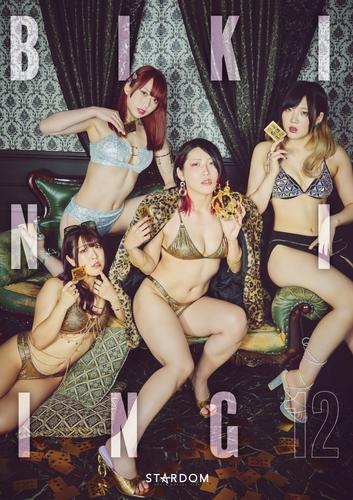 Bikiniing12 STARDOM VISUAL BOOK