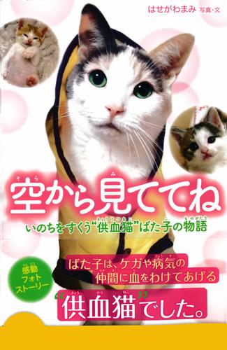 空から見ててね　いのちをすくう“供血猫”ばた子の物語