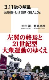 ３．11後の叛乱　反原連・しばき隊・ＳＥＡＬＤｓ