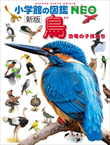 小学館の図鑑NEO 6 冊セット 最新刊まで | 漫画全巻ドットコム