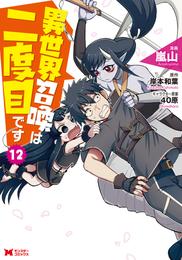 異世界召喚は二度目です（コミック） 12 冊セット 最新刊まで