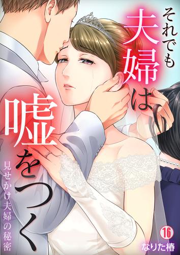 それでも夫婦は嘘をつく～見せかけ夫婦の秘密～ 16 冊セット 全巻