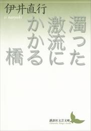 濁った激流にかかる橋