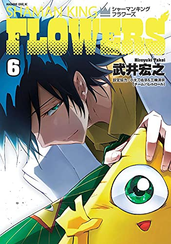 シャーマンキング 完結版 新装版 全34巻 セット - 全巻セット