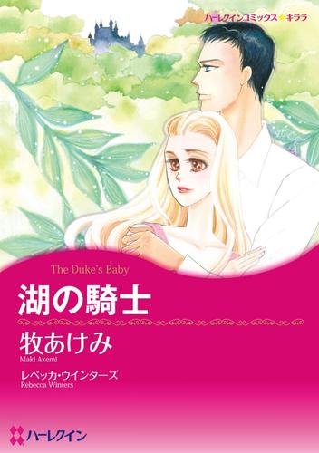 湖の騎士【分冊】 12 冊セット 全巻