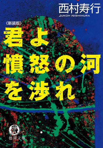 君よ憤怒の河を渉れ