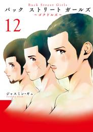 Ｂａｃｋ　Ｓｔｒｅｅｔ　Ｇｉｒｌｓ 12 冊セット 全巻