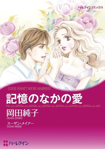 記憶のなかの愛【分冊】 12 冊セット 全巻