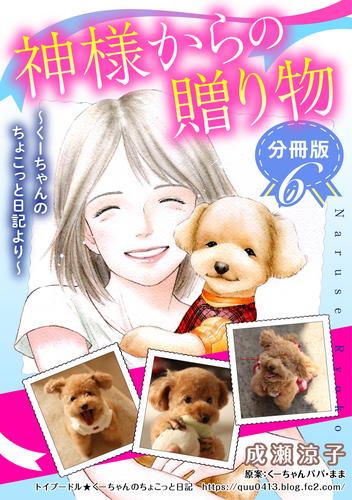 神様からの贈り物～くーちゃんのちょこっと日記より～　分冊版 6 冊セット 全巻