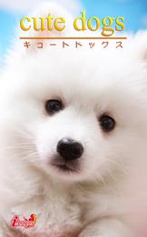 cute dogs30 日本スピッツ