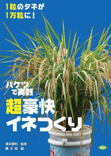 バケツで実践 超豪快イネつくり: 1粒のタネが1万粒に!