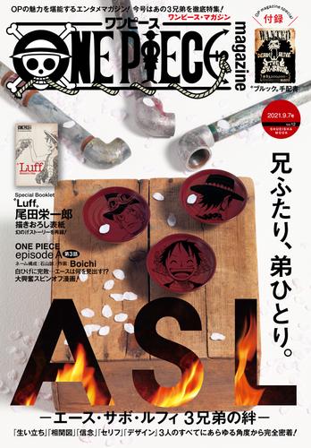 電子版 One Piece Magazine 12 冊セット 最新刊まで 尾田栄一郎 漫画全巻ドットコム