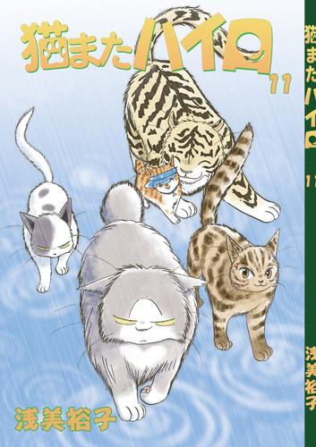 猫またハイロ 11 冊セット 最新刊まで