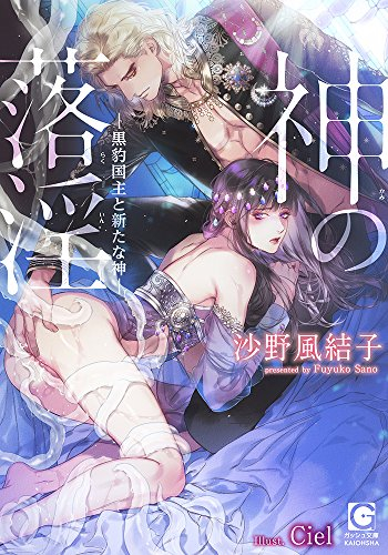 [ライトノベル]神の落淫―黒豹国主と新たな神― (全1冊)