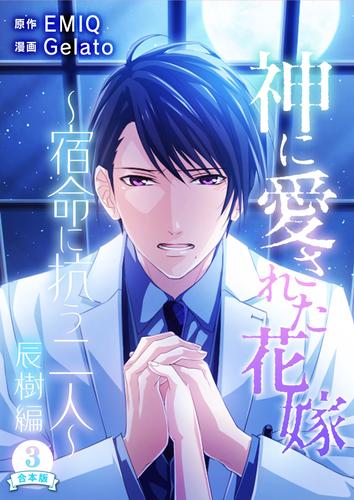 神に愛された花嫁~宿命に抗う二人~ 辰樹編 合本版 3 冊セット 全巻