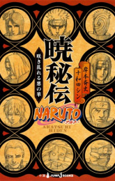 [ライトノベル]ナルト NARUTO 秘伝シリーズ (全6冊)