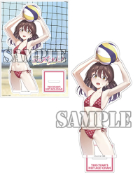 【有償特典付】今年注目のエースちゃん(2)