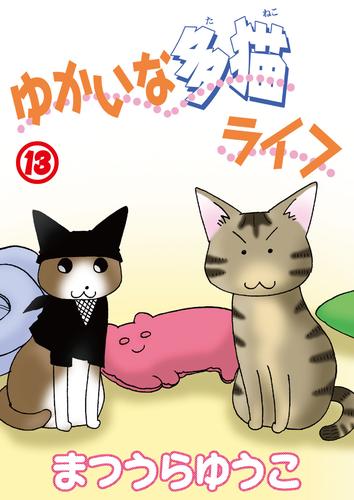 ゆかいな多猫ライフ【分冊版】13