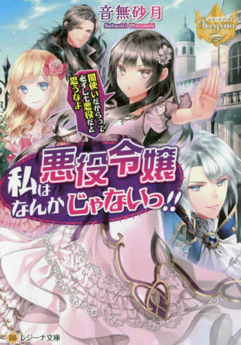 [ライトノベル]私は悪役令嬢なんかじゃないっ!! 闇使いだからって必ずしも悪役だと思うなよ (全1冊)