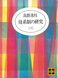 母系制の研究 2 冊セット 最新刊まで