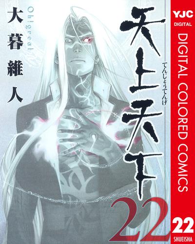 天上天下 カラー版 22 冊セット 全巻