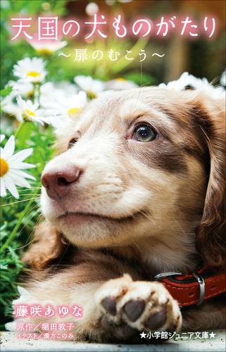 小学館ジュニア文庫　天国の犬ものがたり～扉のむこう～