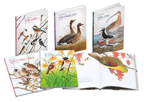 薮内正幸日本の野鳥セット 6巻セット