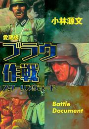 愛蔵版　ブラウ作戦　スターリングラード