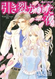 引き裂かれた一夜【7分冊】 4巻