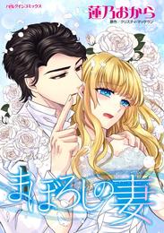 まぼろしの妻【7分冊】 7 冊セット 最新刊まで