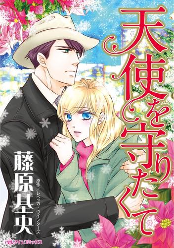 天使を守りたくて【分冊】 12 冊セット 全巻