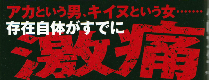 シマウマ外伝 AKAとKIINU