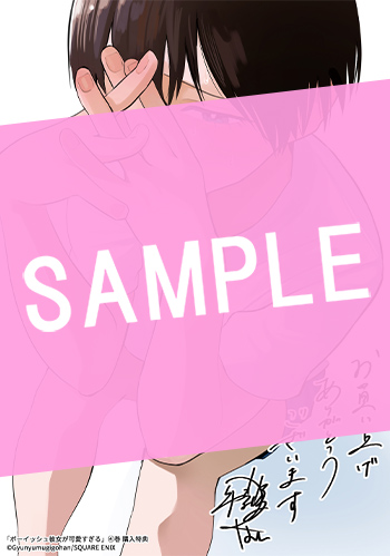 ボーイッシュ彼女が可愛すぎる 4巻特装版 小冊子付き サンプル画像