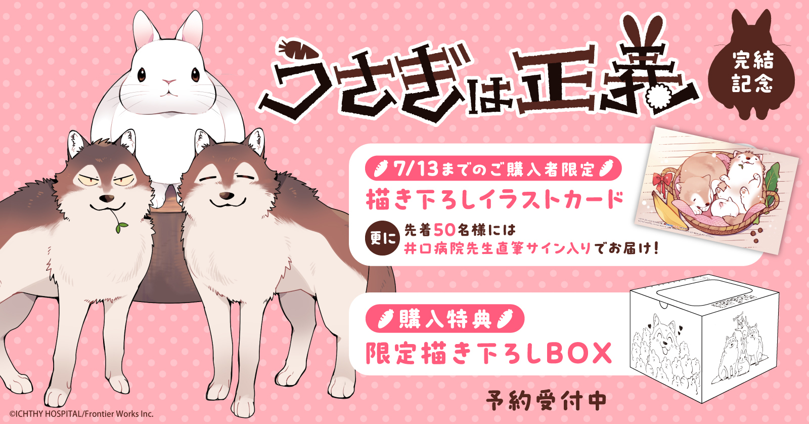 『うさぎは正義』完結記念★描き下ろし収納BOX登場！先着50名様には井口病院先生直筆サイン入りイラストカードもプレゼント♪【漫画全巻ドットコム】